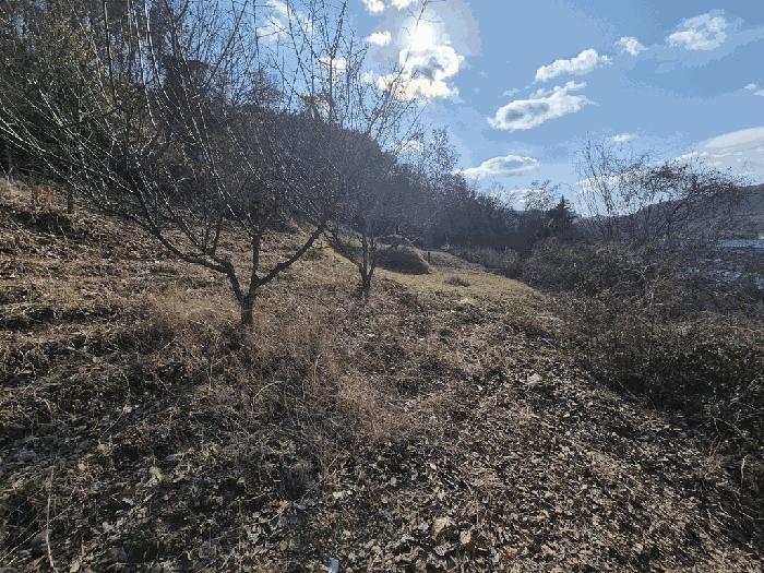 대전 동구 삼괴동 25 전 사진 2